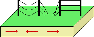 P Waves Diagram