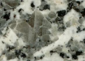 Polished Granite Cross-section